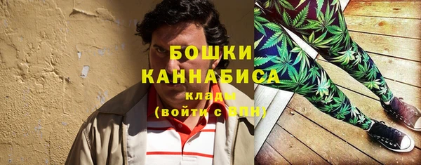 молекула духа Бородино