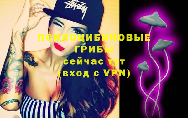 мдпв Сосновый Бор